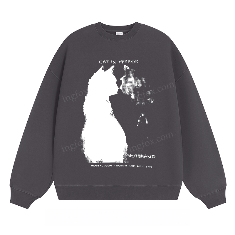 Cat in Mirror - Classic Unisex Fit Crewneck Sweatshirt